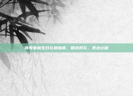 领导家属生日礼物指南，精选好礼，表达心意