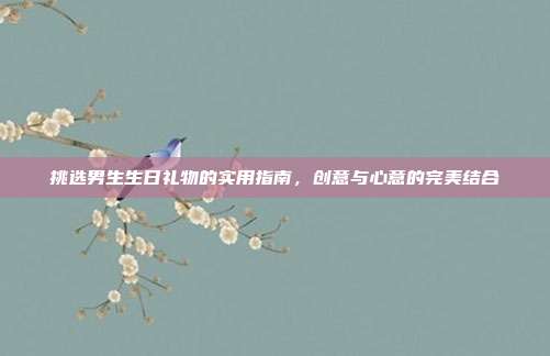 挑选男生生日礼物的实用指南，创意与心意的完美结合
