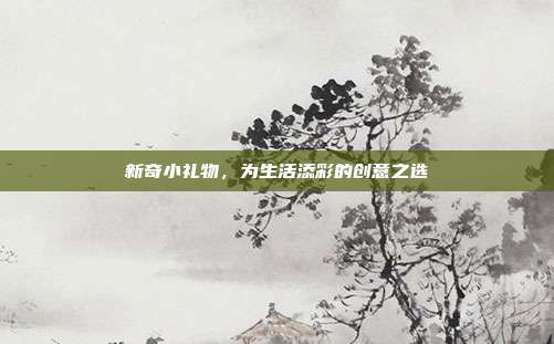 新奇小礼物，为生活添彩的创意之选