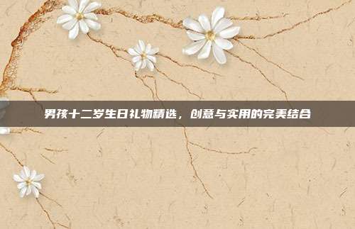 男孩十二岁生日礼物精选，创意与实用的完美结合