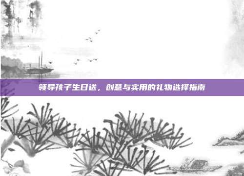 领导孩子生日送，创意与实用的礼物选择指南