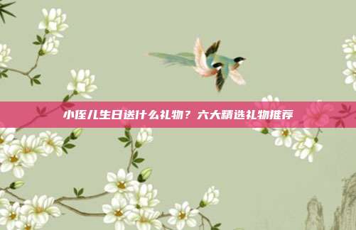 小侄儿生日送什么礼物？六大精选礼物推荐