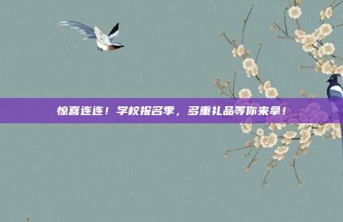 惊喜连连！学校报名季，多重礼品等你来拿！