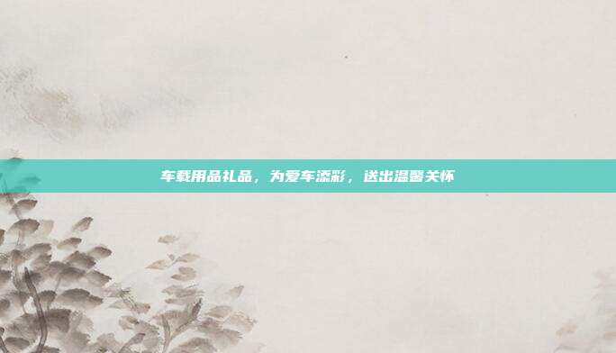 车载用品礼品，为爱车添彩，送出温馨关怀