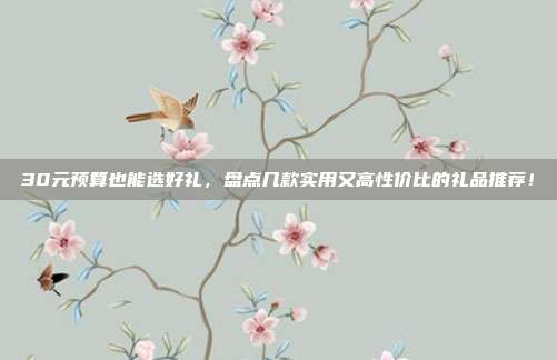 30元预算也能选好礼，盘点几款实用又高性价比的礼品推荐！