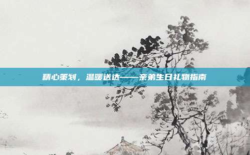 精心策划，温暖送达——亲弟生日礼物指南