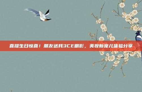 喜提生日惊喜！朋友送我3CE眼影，美妆新宠儿体验分享