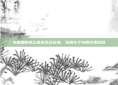 为姐姐的老公挑选生日礼物，实用与个性的完美结合