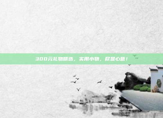 300元礼物精选，实用小物，尽显心意！