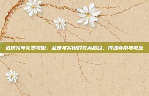 选校领导礼物攻略，品味与实用的完美结合，传递尊崇与敬意