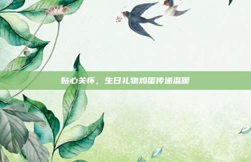 贴心关怀，生日礼物鸡蛋传递温暖