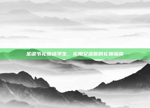 圣诞节礼物送学生，实用又温馨的礼物指南