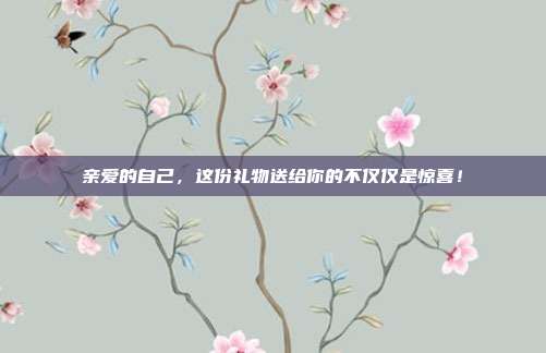 亲爱的自己，这份礼物送给你的不仅仅是惊喜！
