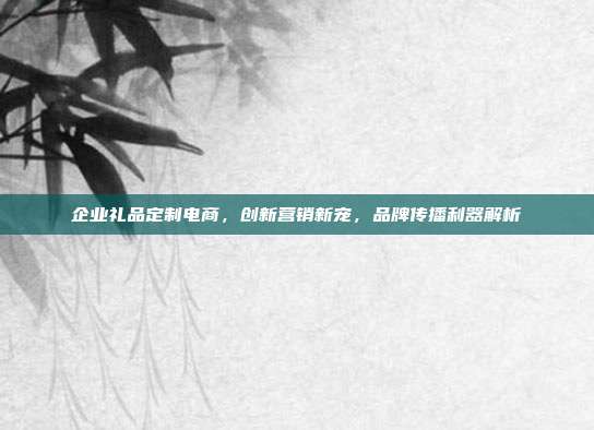 企业礼品定制电商，创新营销新宠，品牌传播利器解析