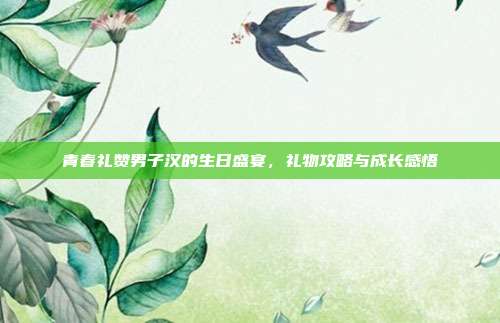 青春礼赞男子汉的生日盛宴，礼物攻略与成长感悟