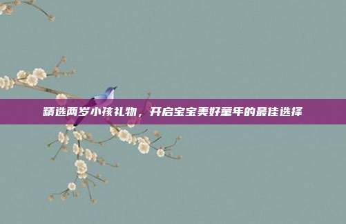 精选两岁小孩礼物，开启宝宝美好童年的最佳选择