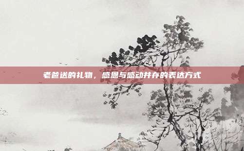老爸送的礼物，感恩与感动并存的表达方式