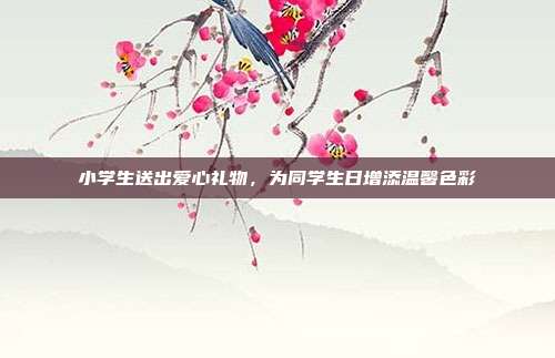 小学生送出爱心礼物，为同学生日增添温馨色彩