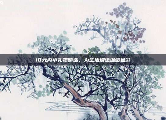 10元内小礼物精选，为生活增添温馨色彩