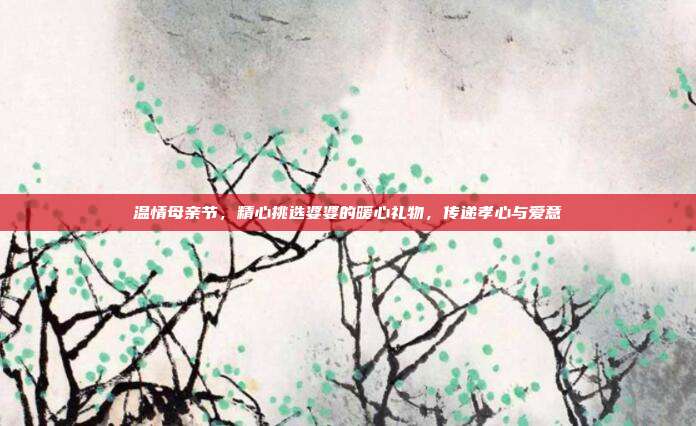 温情母亲节，精心挑选婆婆的暖心礼物，传递孝心与爱意