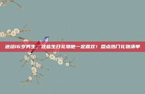 送给16岁男生，这些生日礼物他一定喜欢！盘点热门礼物清单