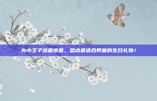 为小王子准备惊喜，盘点最适合男童的生日礼物！