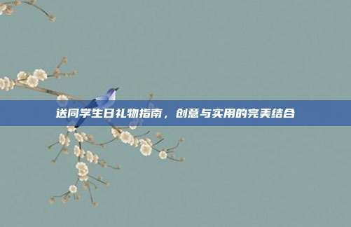 送同学生日礼物指南，创意与实用的完美结合