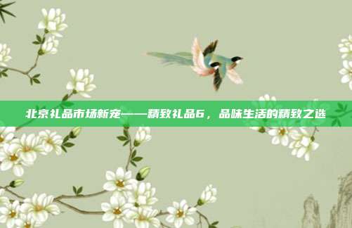 北京礼品市场新宠——精致礼品6，品味生活的精致之选