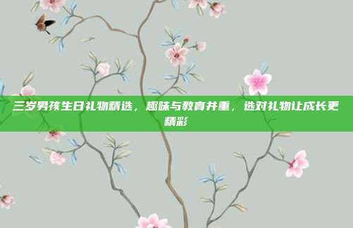 三岁男孩生日礼物精选，趣味与教育并重，选对礼物让成长更精彩