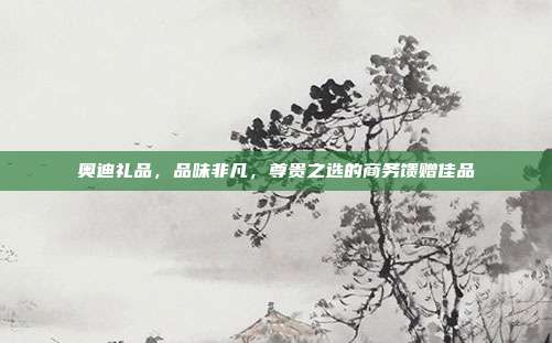 奥迪礼品，品味非凡，尊贵之选的商务馈赠佳品