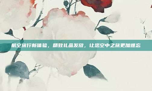 航空旅行新体验，精致礼品发放，让您空中之旅更加难忘