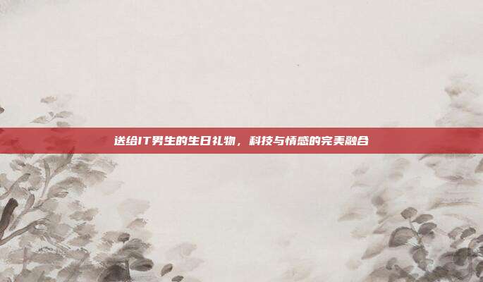 送给IT男生的生日礼物，科技与情感的完美融合