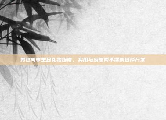 男性同事生日礼物指南，实用与创意两不误的选择方案