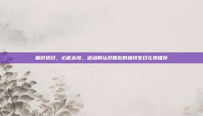相识初日，心意永恒，送给刚认识朋友的独特生日礼物推荐