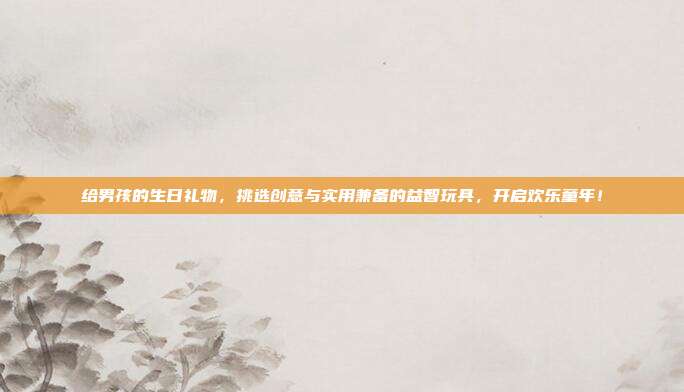 给男孩的生日礼物，挑选创意与实用兼备的益智玩具，开启欢乐童年！