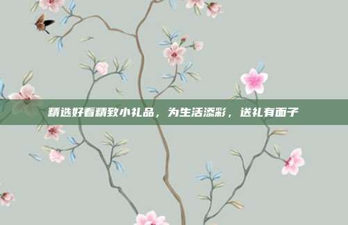 精选好看精致小礼品，为生活添彩，送礼有面子