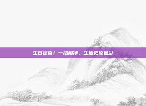 生日惊喜！一鹅相伴，生活更添色彩