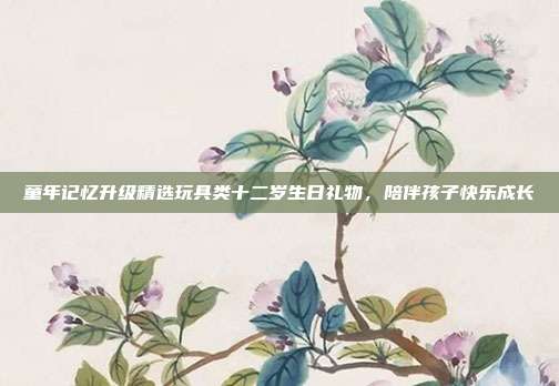 童年记忆升级精选玩具类十二岁生日礼物，陪伴孩子快乐成长