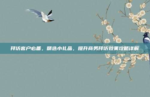 拜访客户必备，精选小礼品，提升商务拜访效果攻略详解