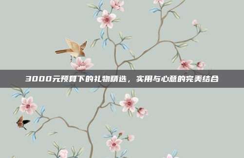 3000元预算下的礼物精选，实用与心意的完美结合