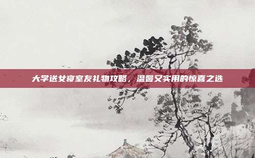 大学送女寝室友礼物攻略，温馨又实用的惊喜之选
