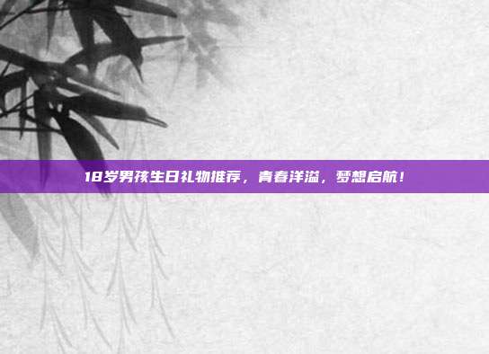 18岁男孩生日礼物推荐，青春洋溢，梦想启航！
