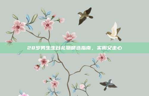 28岁男生生日礼物精选指南，实用又走心