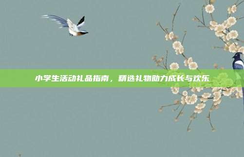 小学生活动礼品指南，精选礼物助力成长与欢乐