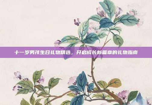 十一岁男孩生日礼物精选，开启成长新篇章的礼物指南