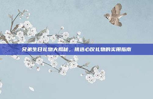 兄弟生日礼物大揭秘，挑选心仪礼物的实用指南