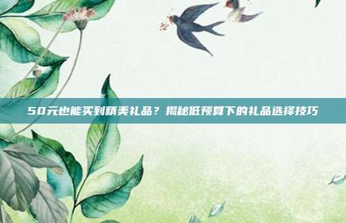 50元也能买到精美礼品？揭秘低预算下的礼品选择技巧