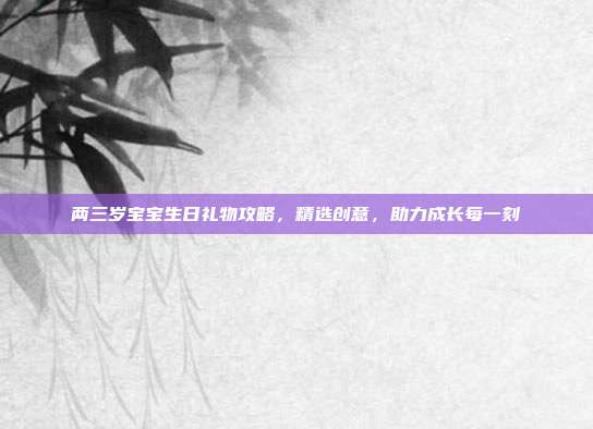 两三岁宝宝生日礼物攻略，精选创意，助力成长每一刻